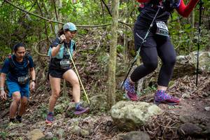 BIB: 
                            <button type="button" onclick="openModal(19382049)" class="btn btn-primary btn-sm float-right btn-popup" data-toggle="modal" data-target=".modal-high-quality">
                        <i class="fas fa-shopping-cart"></i> Add to Cart
                    </button>
                                            <button type="button" onclick="isThisMe(19382049, true)" class="btn btn-success btn-sm float-right btn-popup btn-isme hidden" data-toggle="tooltip" data-placement="bottom" title="นี่คือรูปของคุณใช่ไหม คลิกที่นี่เพื่อเอาเข้าอัลบั้ม">
                        <i class="fas fa-plus"></i> Add to album
                    </button>
                    <button type="button" onclick="isThisMe(19382049, false)" class="btn btn-warning btn-sm float-right btn-popup btn-isnotme hidden">
                        <i class="fas fa-ban"></i> Remove from album
                    </button>